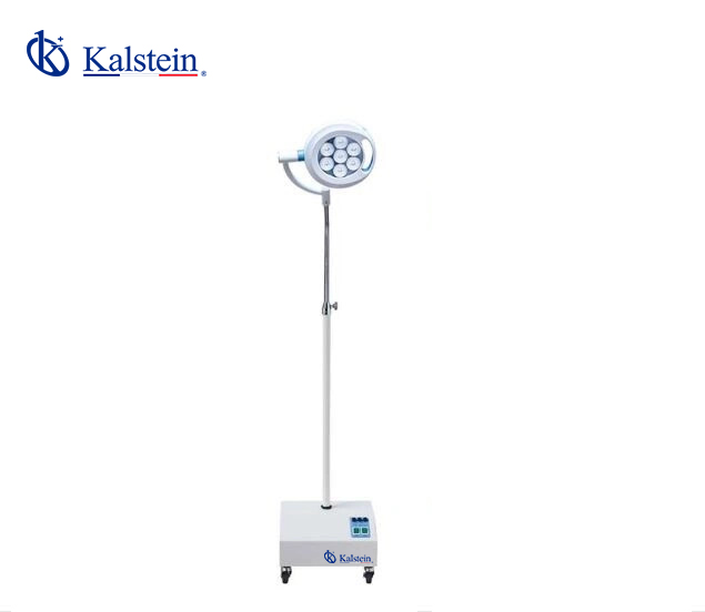 Understanding the YR02135 Operation Lamp: Applications Across Clinical, Industrial, Food, Veterinary, and Educational Sectors
