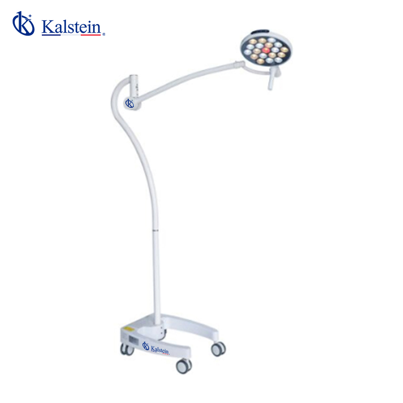 Sector Adaptations of the YR02138 Operation Lamp: Insights for Clinical, Industrial, Food, Veterinary, and Educational Uses