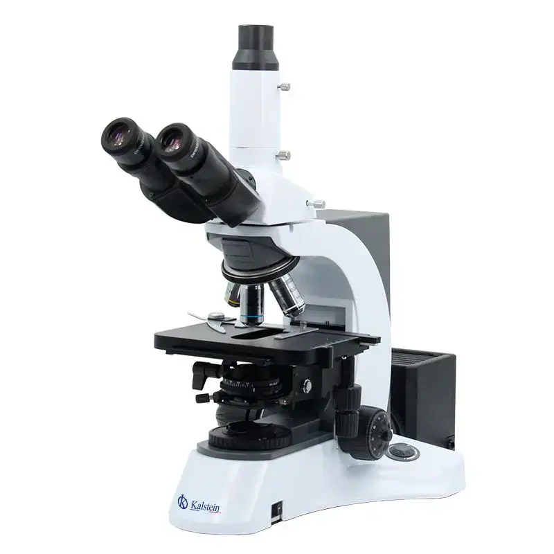 Practical Uses of the YR0231 Trinocular Microscope in Laboratories
