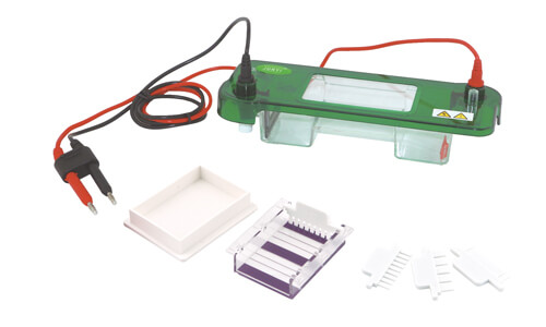 How to Implement Predictive Maintenance and Calibration for Horizontal Electrophoresis Systems