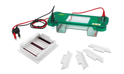 Troubleshooting Common Errors on the YR03416 Horizontal Electrophoresis System