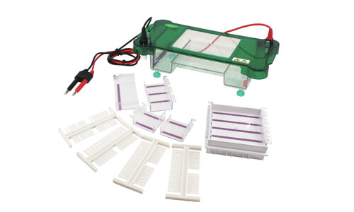 Understanding Compatible Consumables and Accessories for the YR03417 Horizontal Electrophoresis Unit