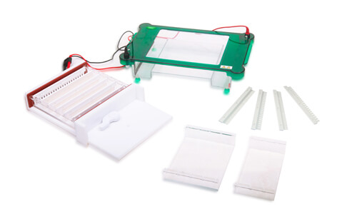 Technical Glossary and Key Terminology for the YR03420 Horizontal Electrophoresis Unit