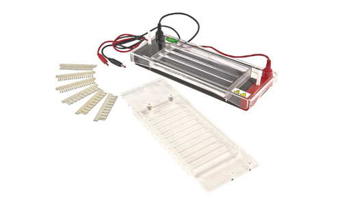Comprehensive Guide to Compatible Consumables and Accessories for the YR03422 Horizontal Electrophoresis Unit