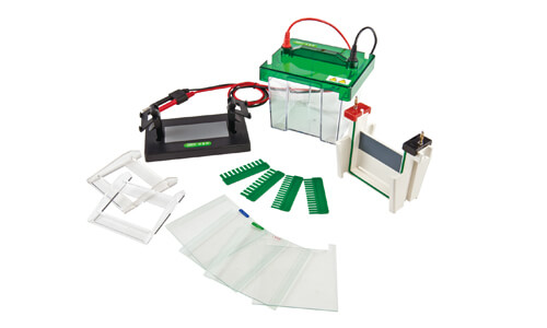 ISO/IEC Regulations and Compliance in Vertical Electrophoresis: A Comprehensive Guide