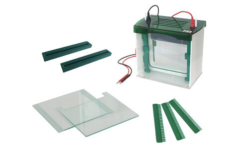 Troubleshooting Common Errors on the YR03429 Vertical Gel Electrophoresis Cell