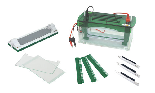 Understanding the Consumables and Accessories Compatible with the YR03430 Rapid Vertical Electrophoresis System