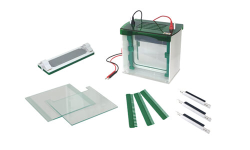 Technical Glossary and Key Terminology for the YR03431 Rapid Vertical Electrophoresis Tank