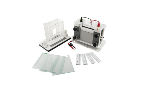 Mini Electrophoresis YR401