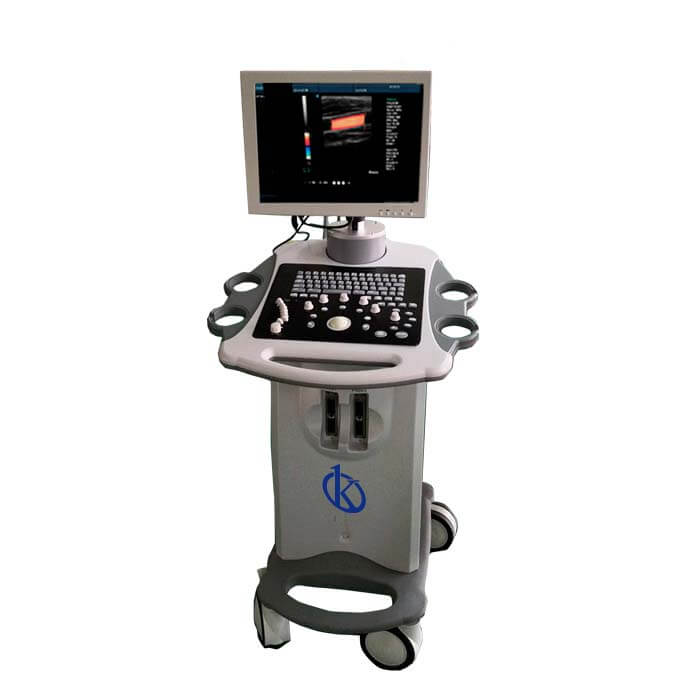 Sector Adaptations of the YR05154: Versatile Applications in Clinical, Industrial, Food, Veterinary, and Educational Fields