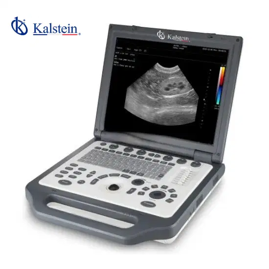 Maximizing ROI in Veterinary Color Doppler: A Comprehensive Analysis