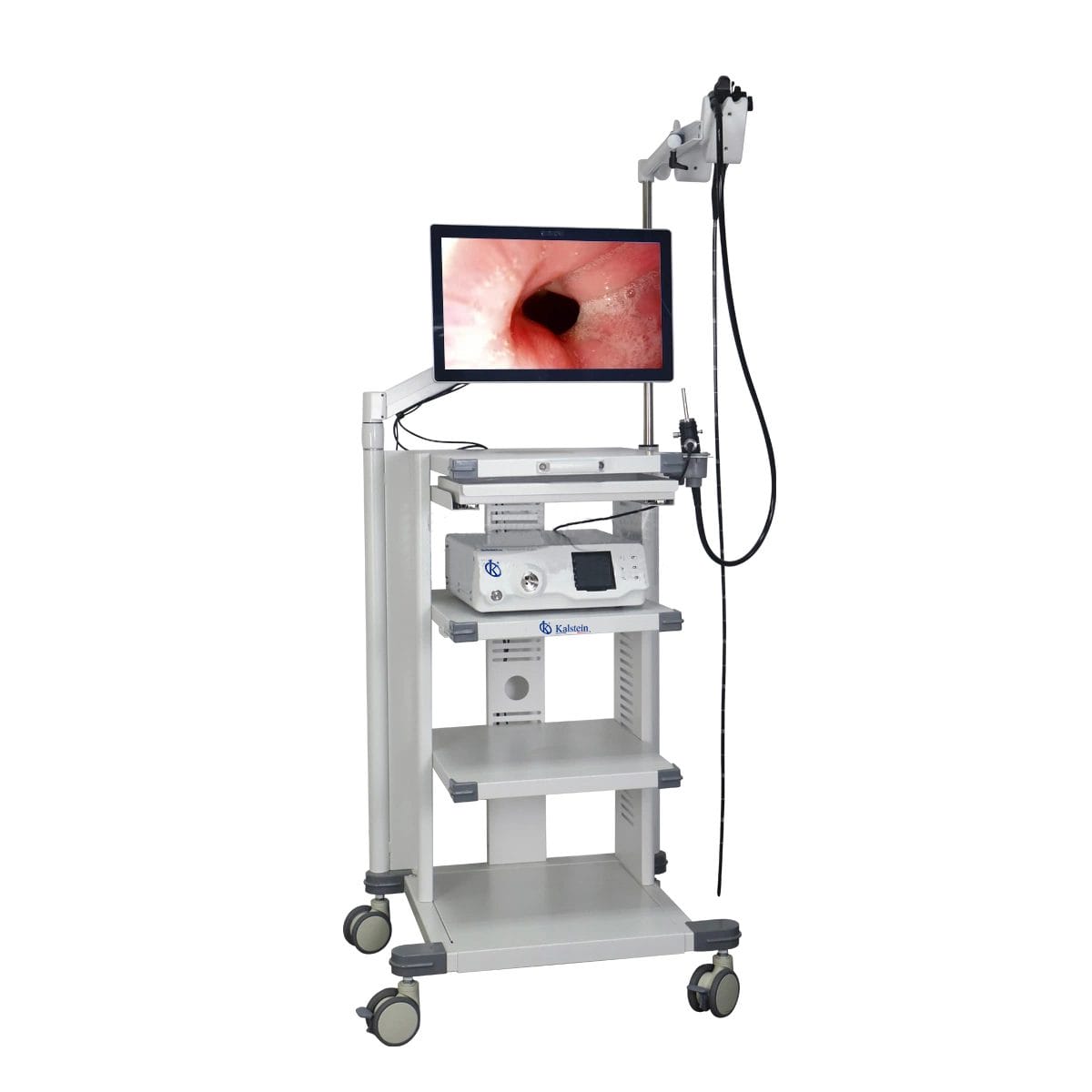 Customization and Advanced Configurations of the YR06150 Veterinary Video Endoscope