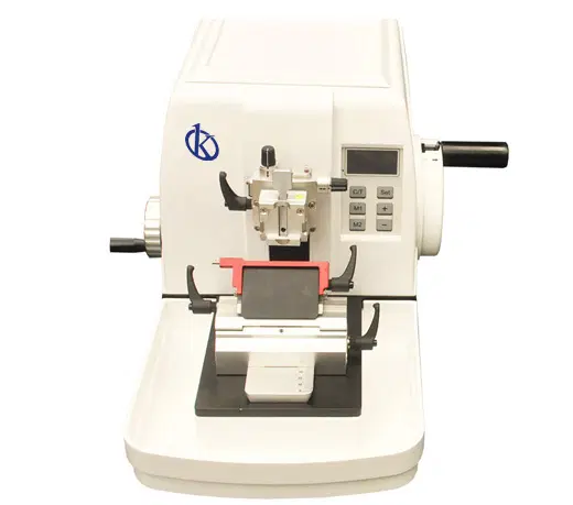 What is pathological anatomy?