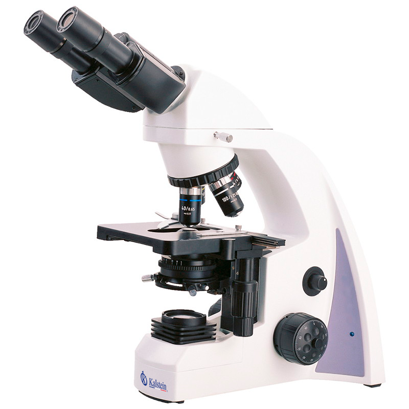 What are the different types of optical microscopes?
