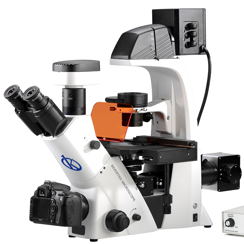Advanced Features and Benefits of Inverted LED Fluorescent Microscopes YR05791 and YR05792