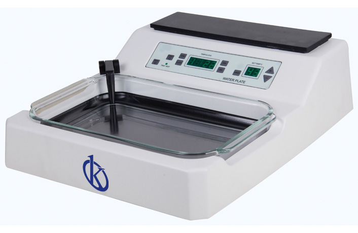 The Art of Precision: Exploring Tissue Flotation in Pathological Anatomy