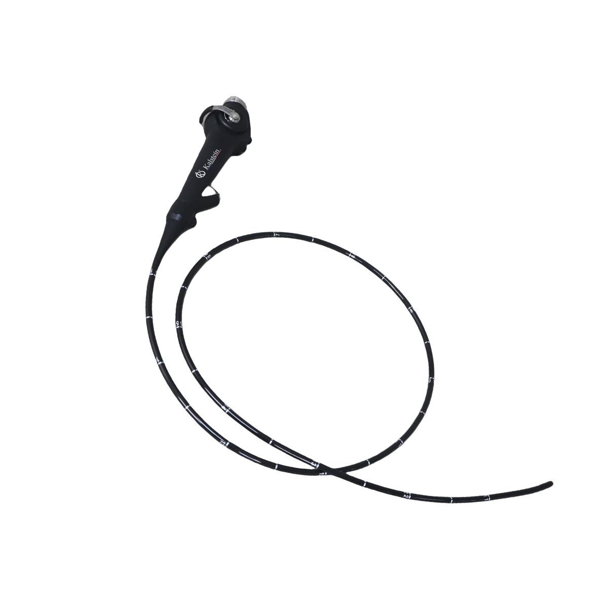 Revolutionizing Veterinary Health: The Role of Kalstein's Veterinary Video Endoscope