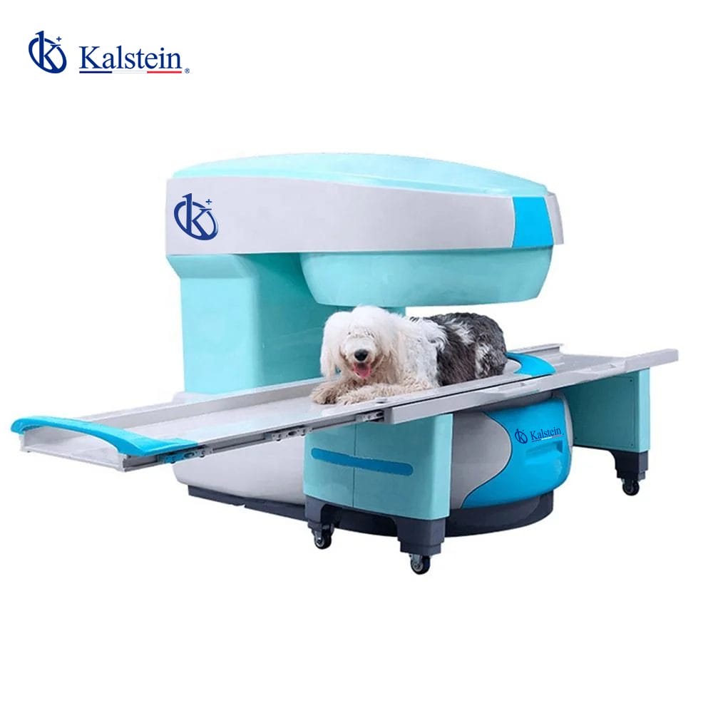 Innovative Veterinary MRI Solutions: An In-Depth Look at Kalstein's Offerings