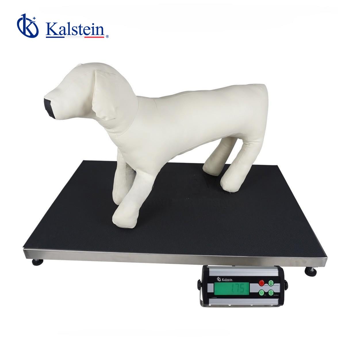Pet Scale YR06191 – 2