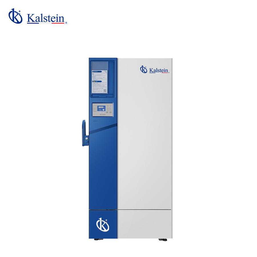 Upright Freezer