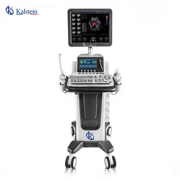 Exploring the World of Veterinary Ultrasound: Unveiling the Ultimate Diagnostic Tool