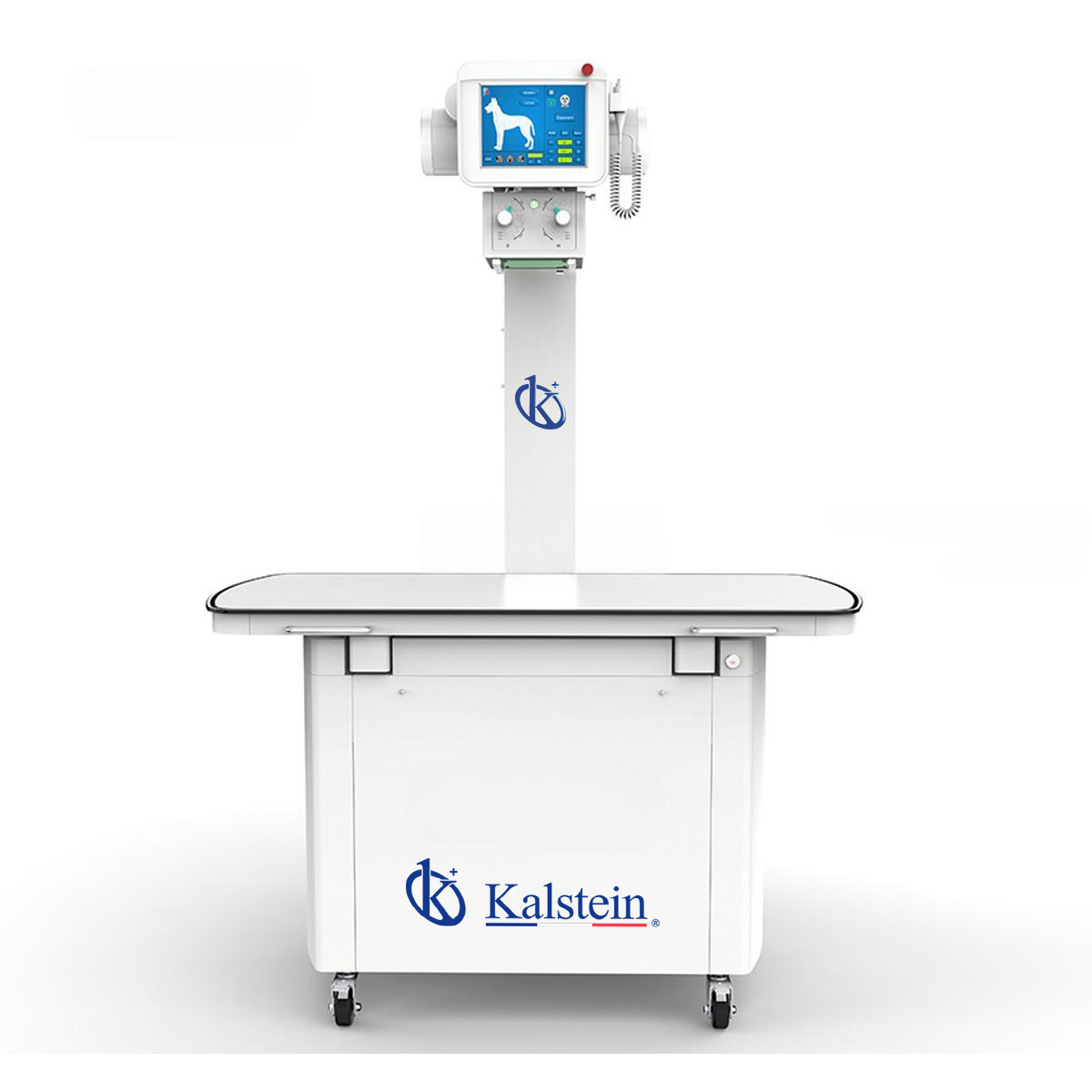 Les Rayons X Vétérinaires : Technologie de Pointe pour les Soins Animaliers