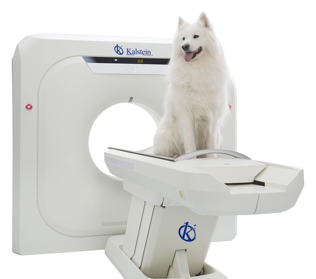 Veterinary CT Scanners: Pioneering Precision in Animal Healthcare
