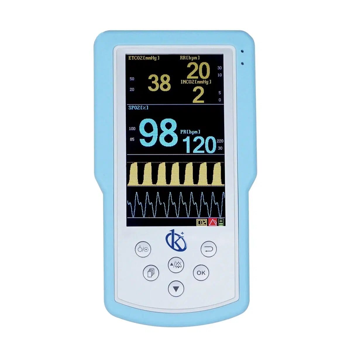 Advanced Veterinary Monitors: Enhancing Animal Healthcare