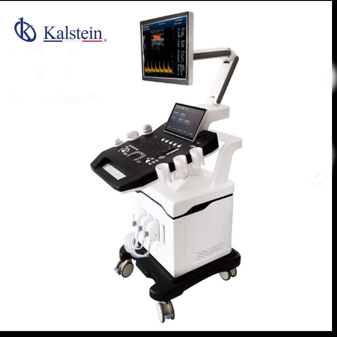 Échographe Doppler Couleur 3D/4D Haut de Gamme YR06635