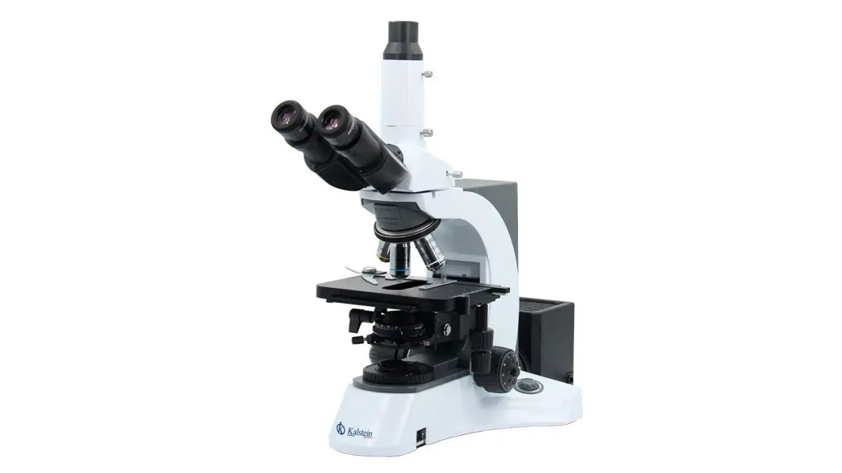 Practical Uses of the YR0231 Trinocular Microscope in Laboratories